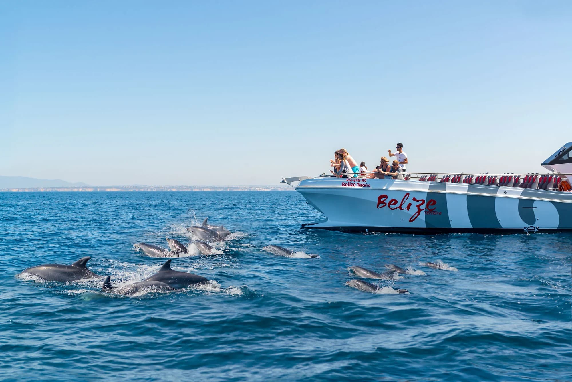 Lagos: Golfinhos e Grutas de Benagil em Catamarã